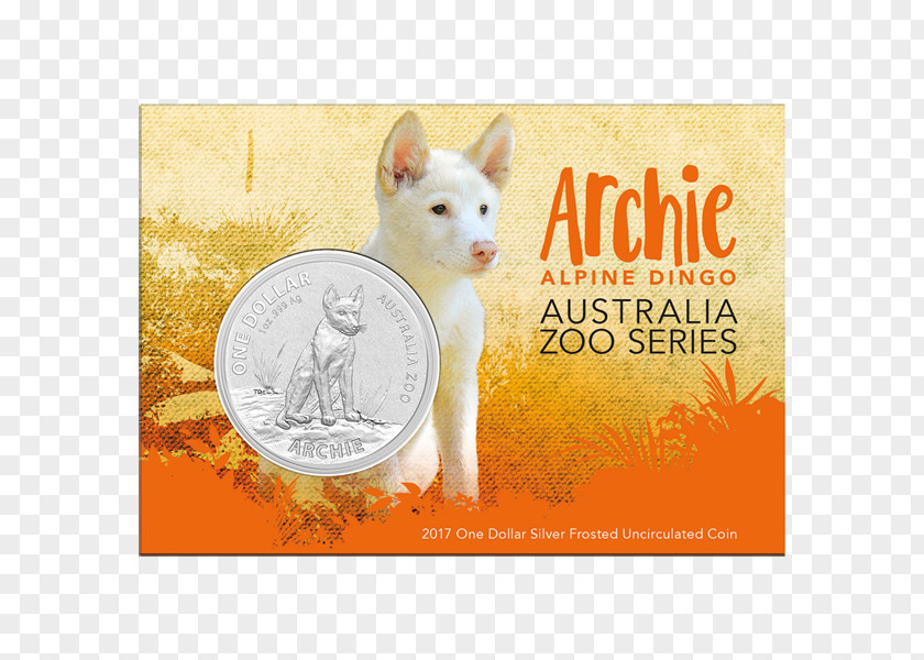 Koala Australia Zoo Royal Australian Mint Dingo Stock Horse PNG