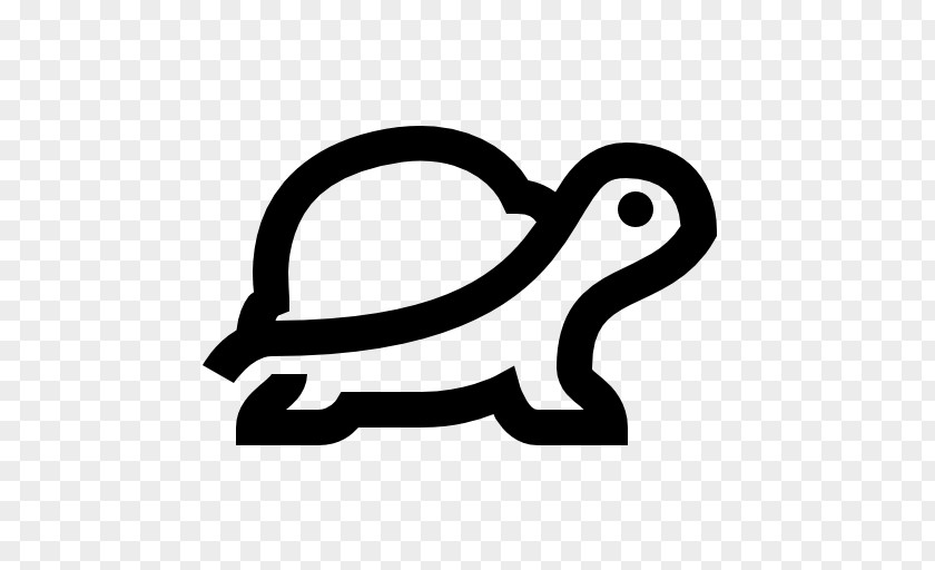 Tortoide Turtle Icon Design PNG