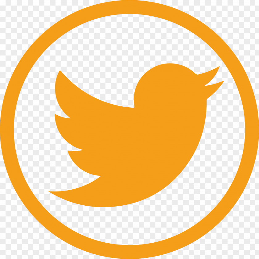 Business Logo Social Media Bird PNG