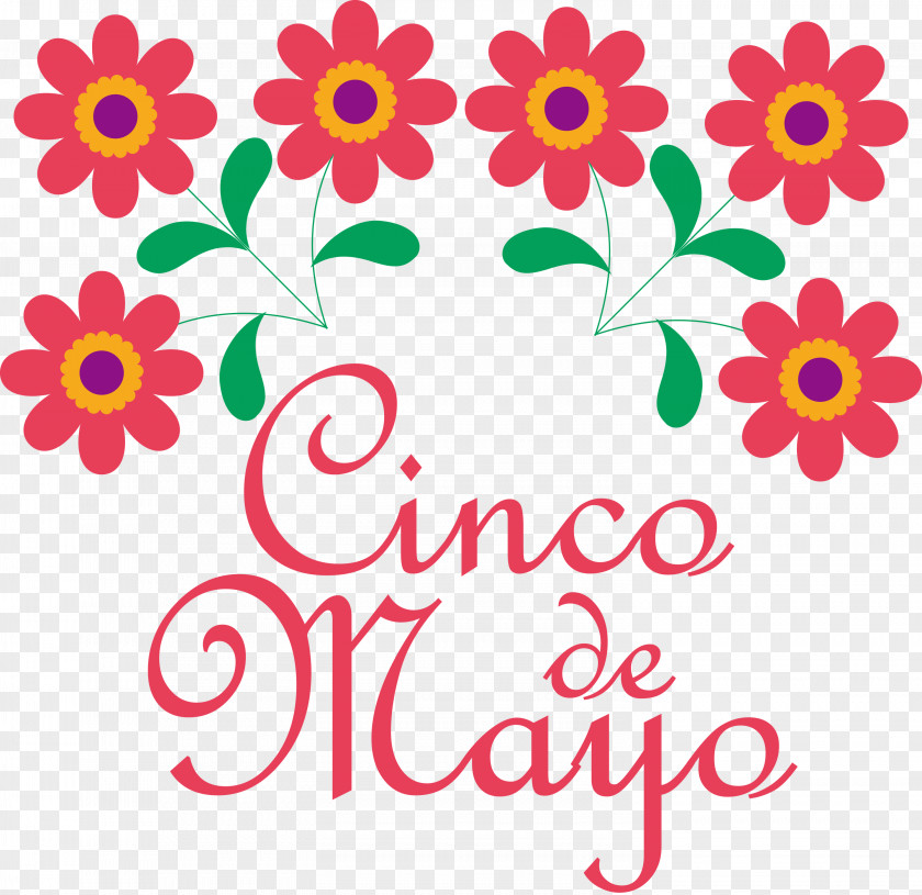 Cinco De Mayo Fifth Of May PNG