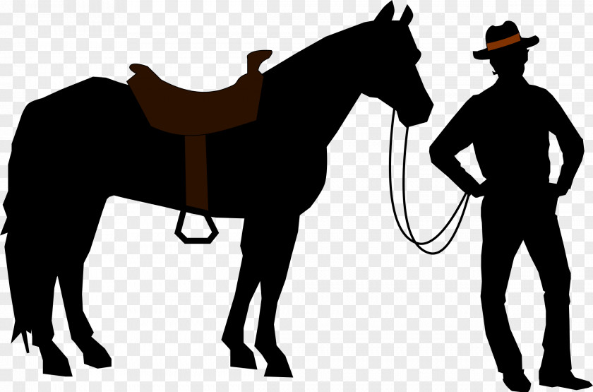 Cowboy American Quarter Horse Arabian Criollo Howrse Riding PNG
