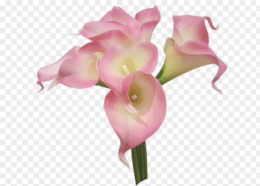 Flower Bouquet Cut Flowers Artificial Lilium PNG
