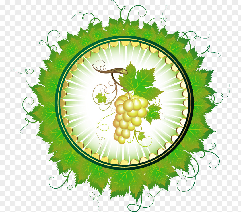 Green Grapes Wreath Common Grape Vine Juice Drawing PNG