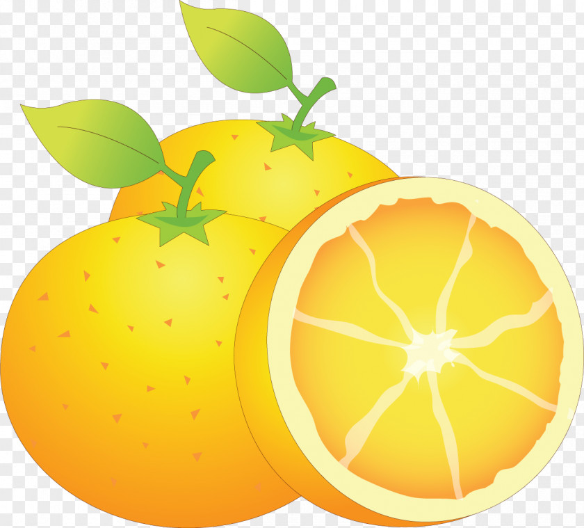 Lemon Mandarin Orange Food Citron Grapefruit PNG