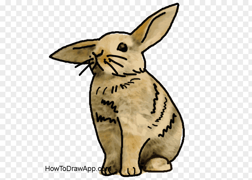 Painting Domestic Rabbit Drawing Hare Cartoon PNG