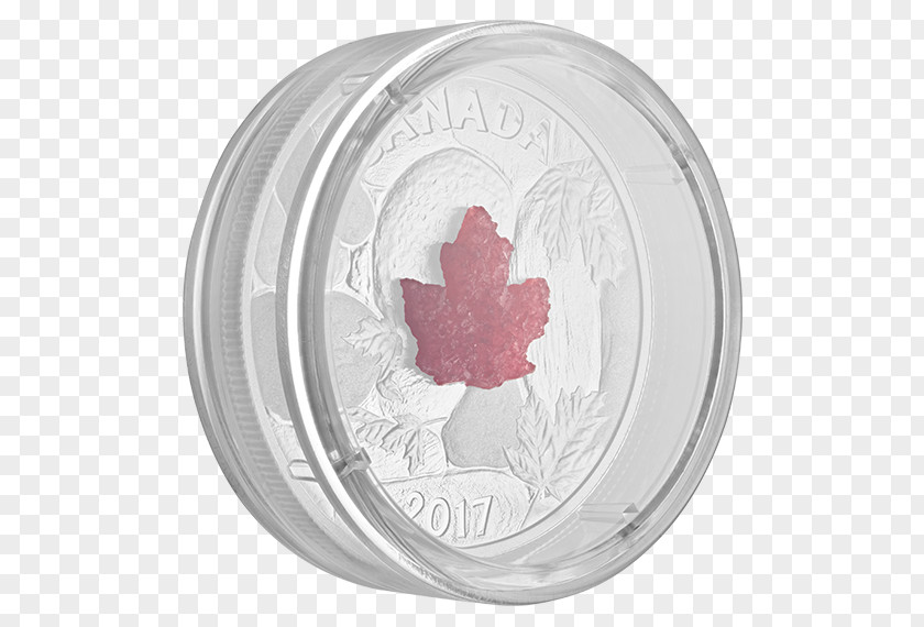 Royal Canadian Mint Silver Circle PNG