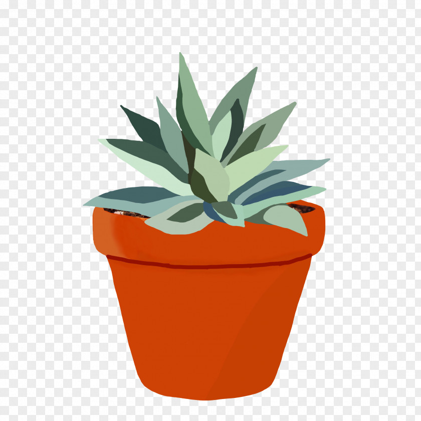 Succulent Transparent Kibblywibbly Drawing Illustration Stock Photography Vector Graphics Image PNG