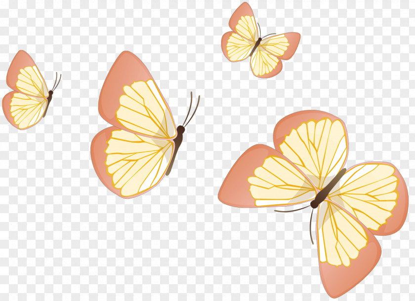 Butterfly Insect Wing Clip Art PNG