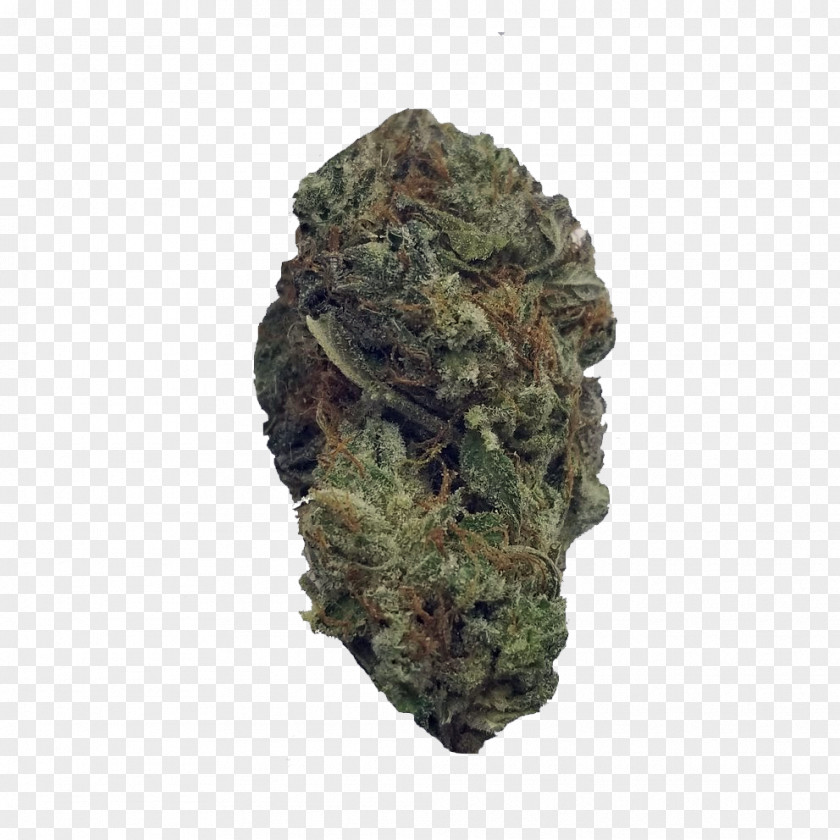 Cannabis Kush University Of British Columbia Tetrahydrocannabinol Online Dispensary PNG