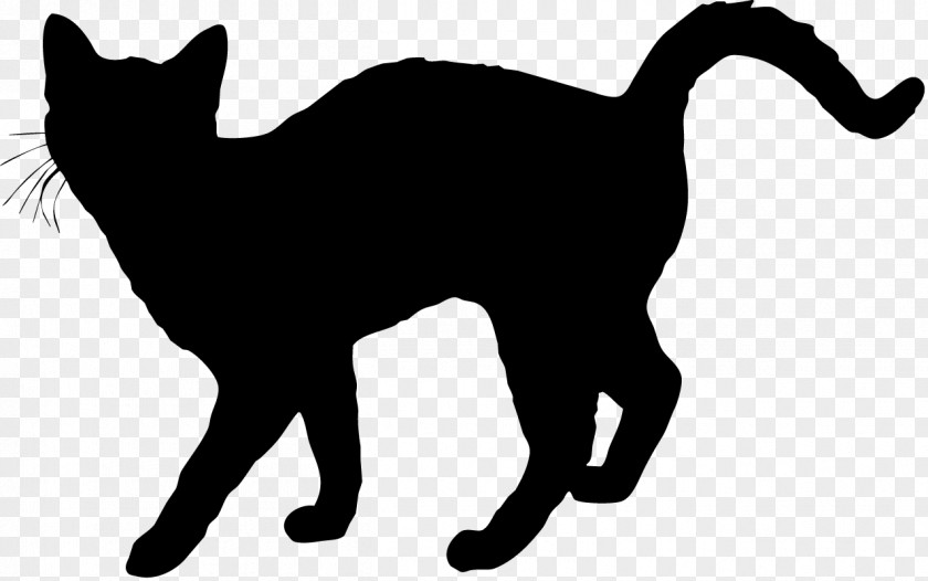 Cat Drawing Silhouette Clip Art PNG