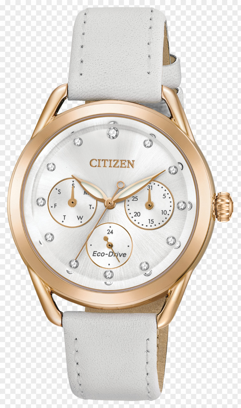 Citizen Watch Eco-Drive Strap Holdings Chronograph PNG