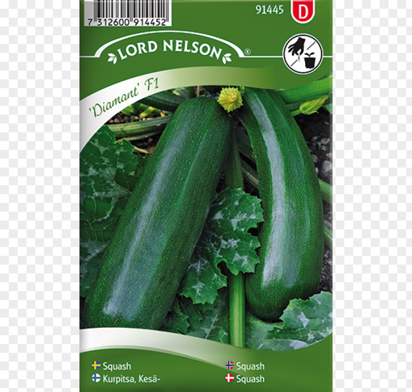 Cucurbita Pepo Cucumber Pumpkin Zucchini Seed PNG