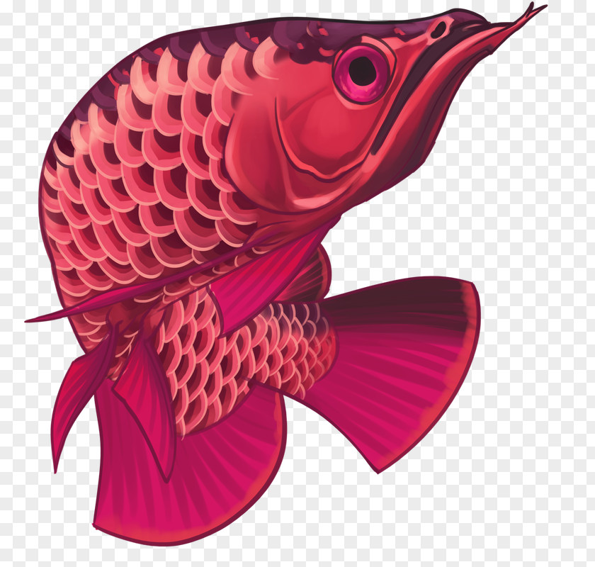 Fish Asian Arowana Ornamental Animal PNG