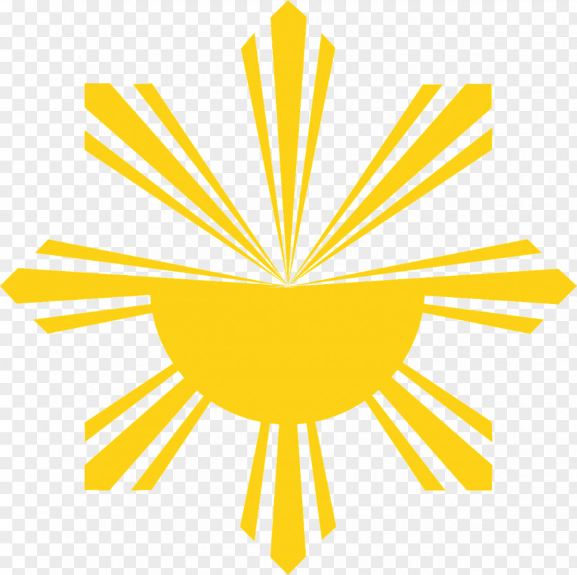 Flag Of The Philippines Filipino National PNG