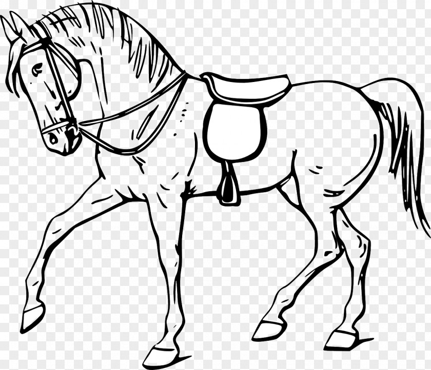 Horsehead Tennessee Walking Horse Stallion Equestrian Jumping Clip Art PNG
