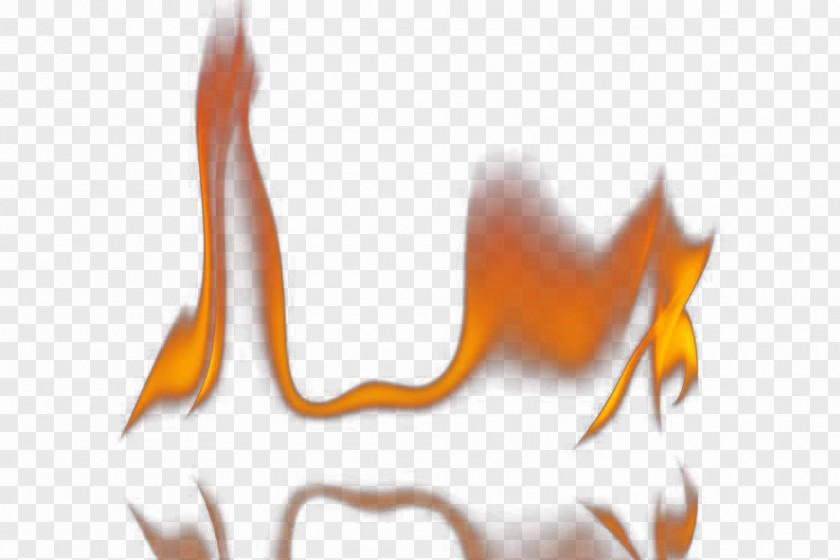 Light A Fire Creative Image Flame Combustion PNG