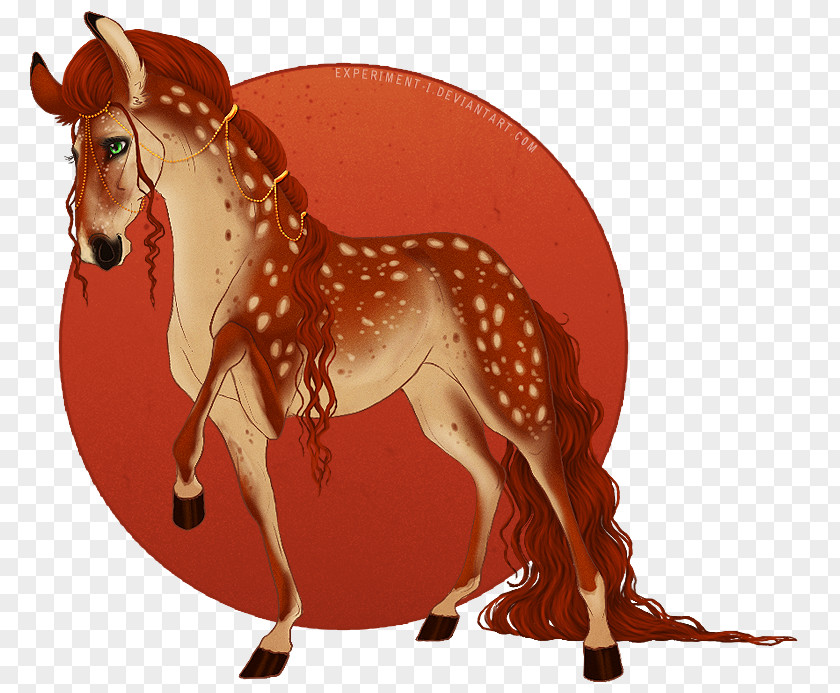 Mustang Mule Stallion Donkey Halter PNG