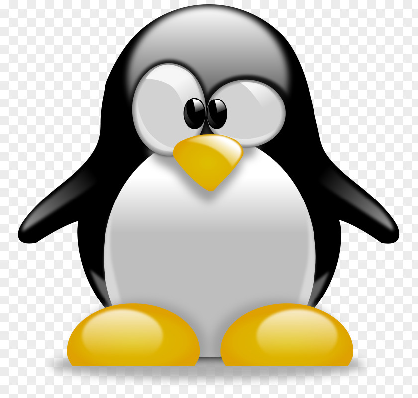 Openoffice Clipart Tux Racer Penguin Clip Art PNG