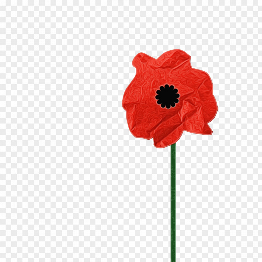 Red Flower Poppy Coquelicot Petal PNG