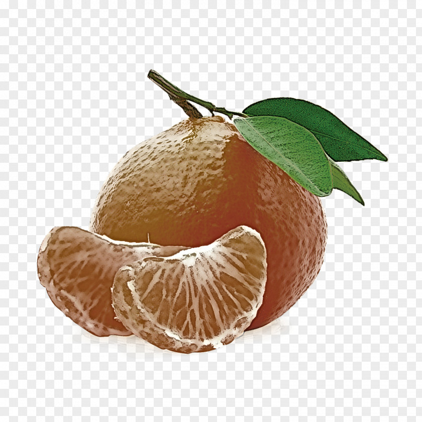 Tangelo Leaf Mandarin Orange Fruit Citrus Clementine Tangerine PNG