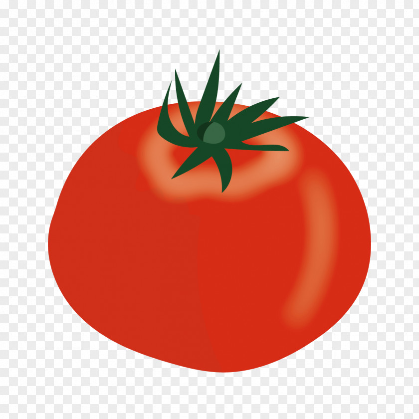 Tomato Plum Bush Vegetable PNG