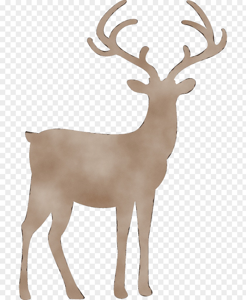 Antelope Sticker Reindeer PNG