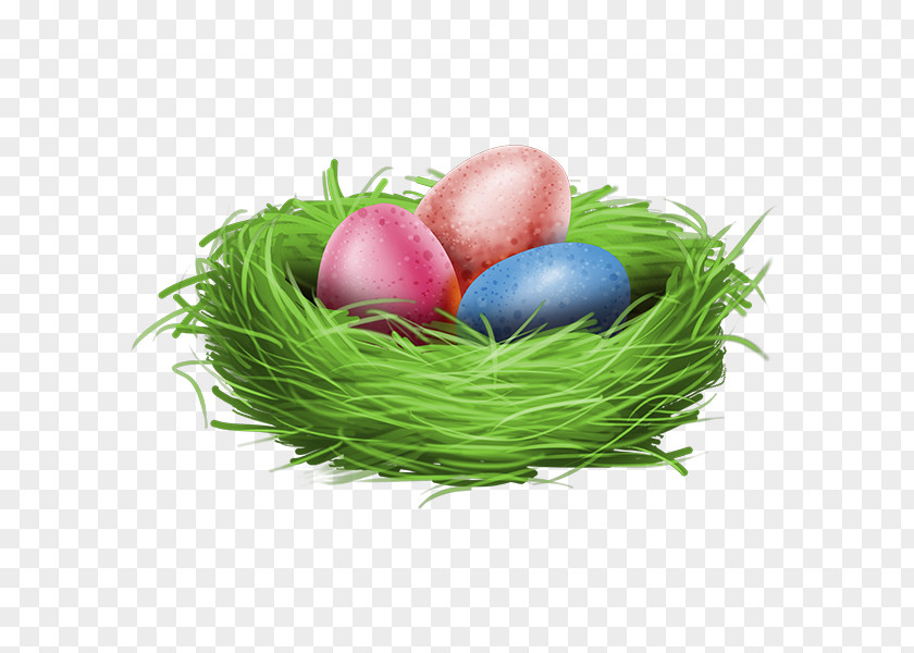 Chickadee Easter Bunny Egg PNG