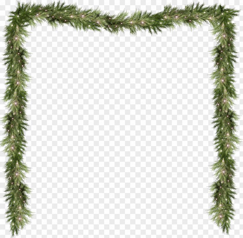 Garland Frame Pine Spruce Fir Branch Evergreen PNG