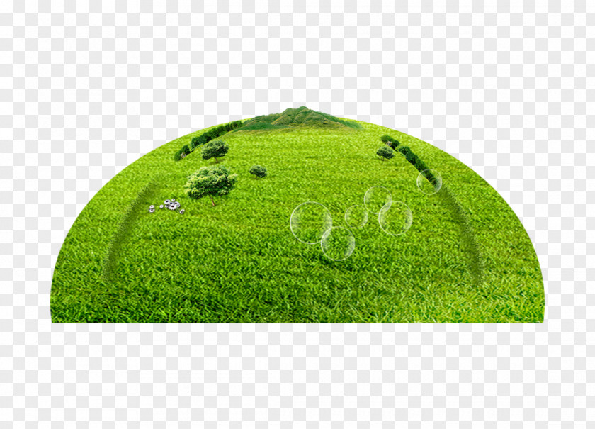 Grass Download Wallpaper PNG