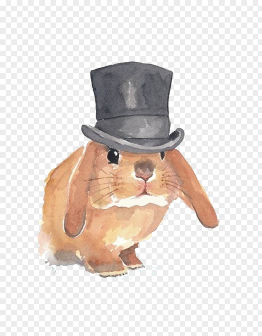 Rabbit Hat Designer PNG