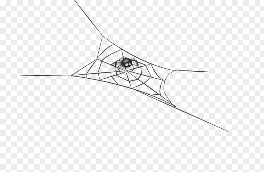 Spider Silk Insect Arthropod Web PNG