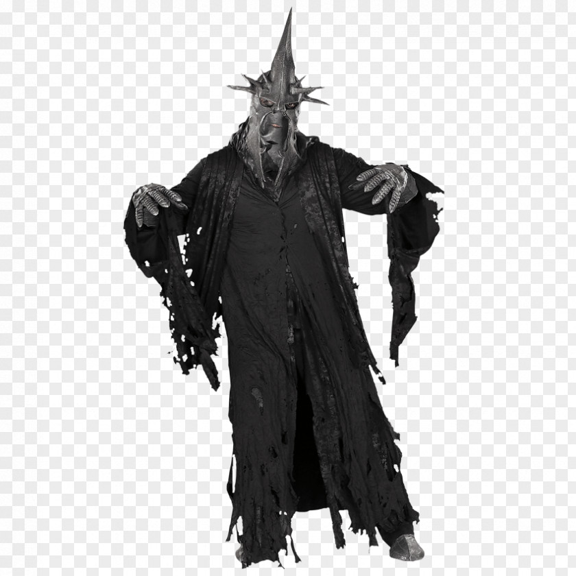 The Lord Of Rings Witch-king Angmar Gandalf Hobbit Frodo Baggins PNG