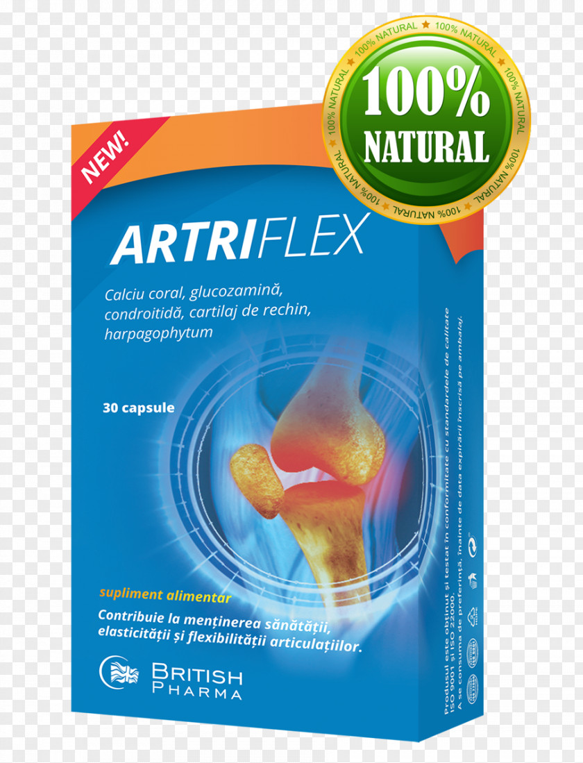 Alimentação Joint Muscle Osteoarthritis Arthritic Pain PNG