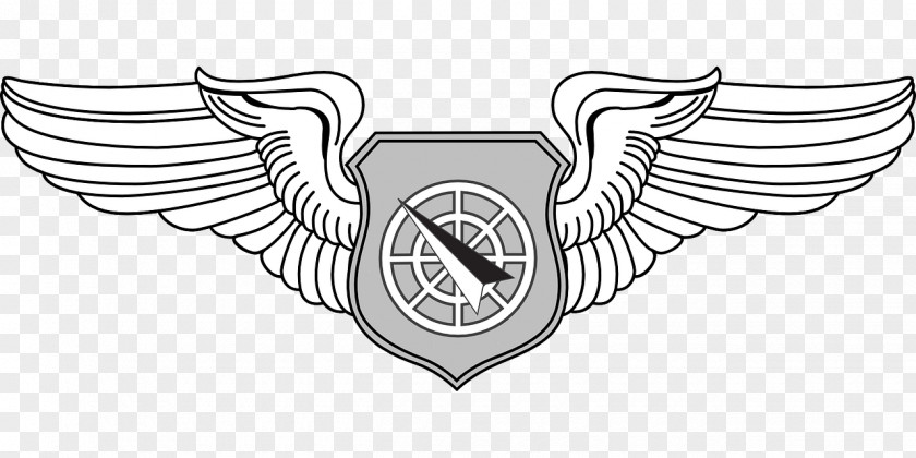 俄罗斯 Badges Of The United States Air Force Battle Manager Badge U.S. Aeronautical Rating PNG
