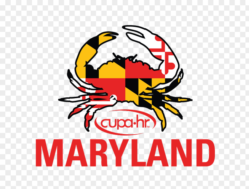 Business Begin Bright Maitland Maryland Human Resource Logo PNG