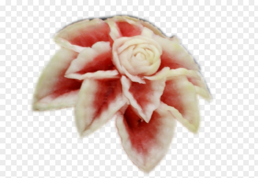 Cosina Garden Roses Culinary Arts Fruit Empresa PNG