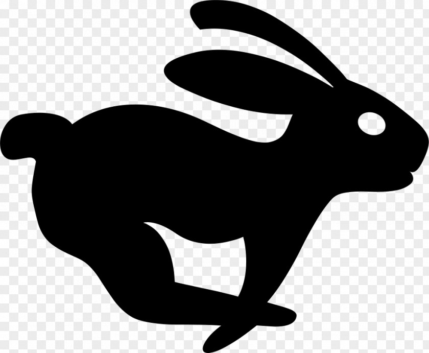 Domestic Rabbit Hare Clip Art PNG