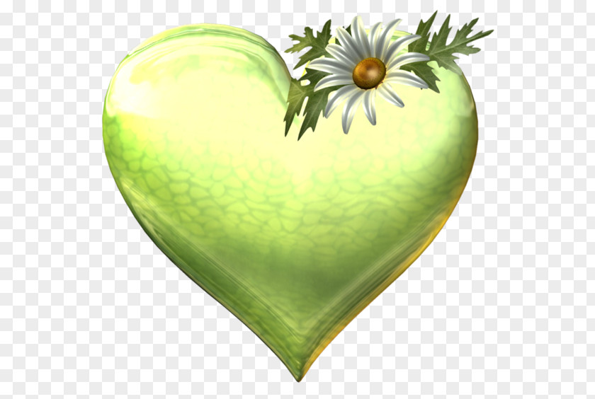 Heart Silver PNG