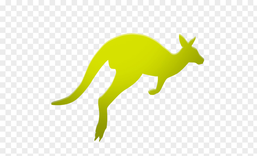 Kangaroo Responsive Web Design Macropodidae PNG