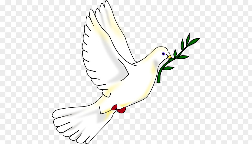 Peace Dove Columbidae Symbols Doves As Clip Art PNG