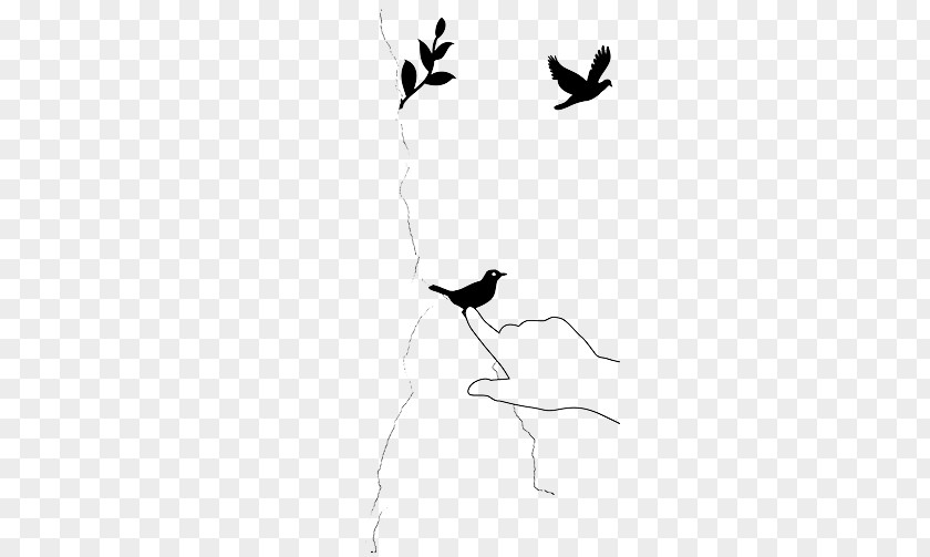 Take A Break /m/02csf Drawing Water Bird Silhouette PNG