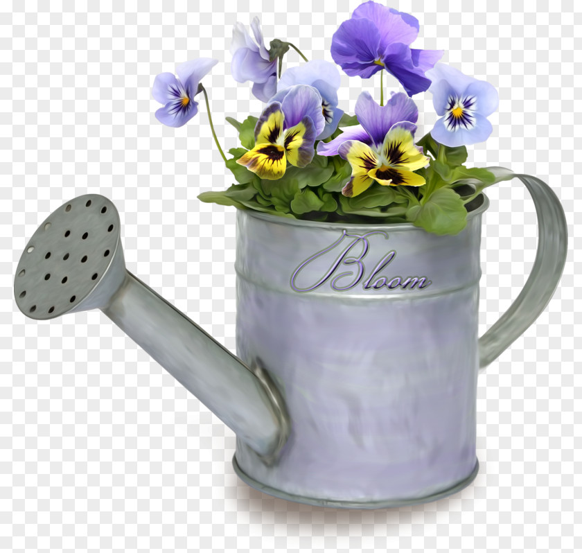 Watering Cans Pansy Flowerpot Garden Embryophyta PNG