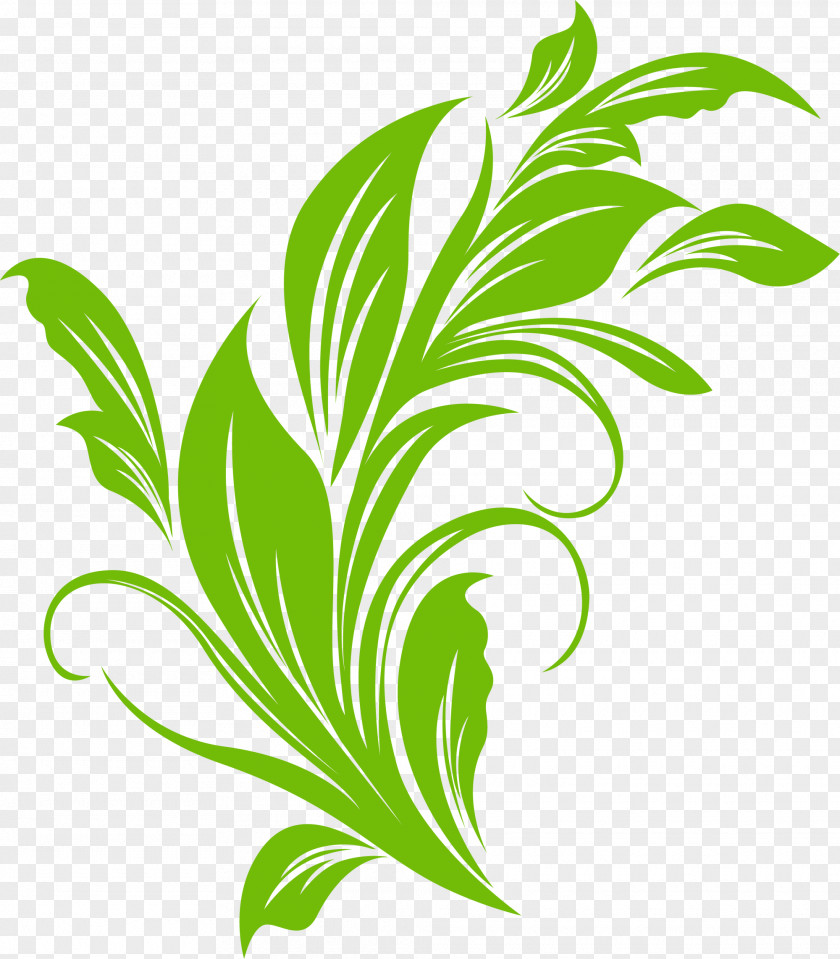 Green Plant Grass Leaf Clip Art PNG