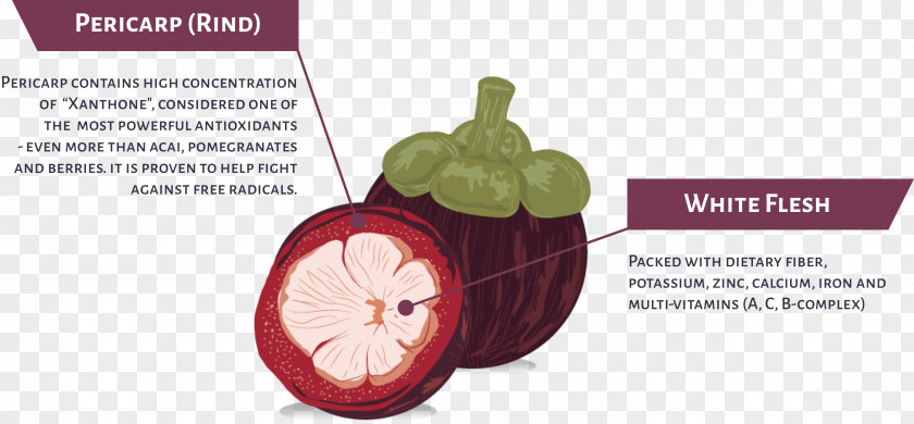 Juice Fruit Anatomy Purple Mangosteen Cocktail PNG