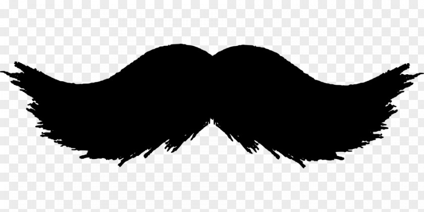 Moustache Handlebar Beard Clip Art PNG