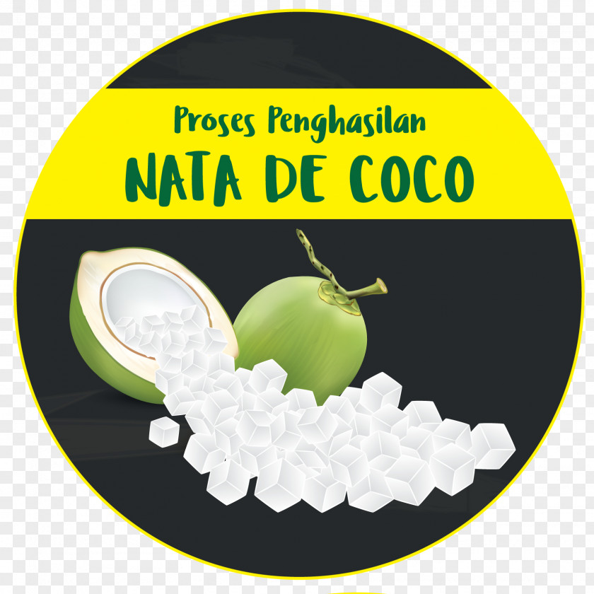 Nata De Coco Green Brand Font PNG