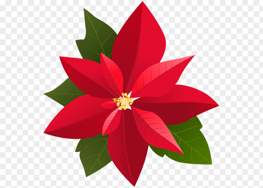 Poinsettia Christmas Clip Art PNG