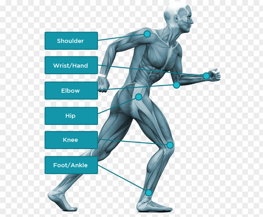 Spiny Cell Body Regenerative Medicine Therapy Pain Management PNG