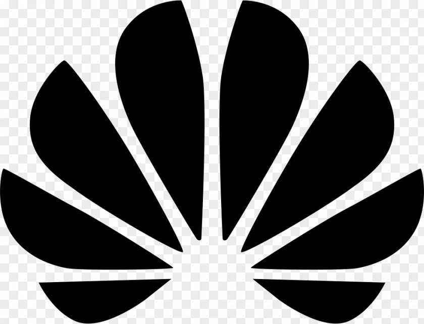 Typography Huawei Enterprise USA, Inc. Logo Telecommunication LTE PNG