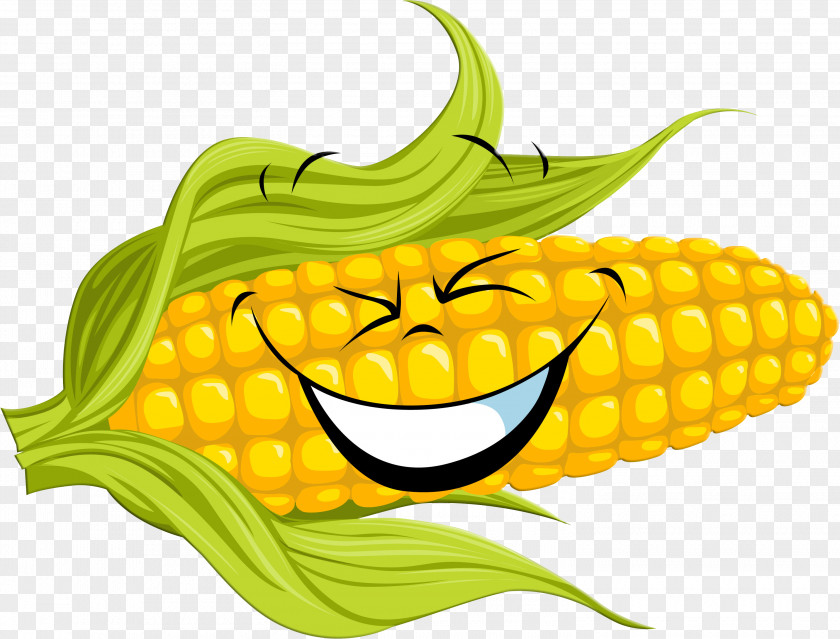 Vegetable Corn On The Cob Drawing Maize Clip Art PNG